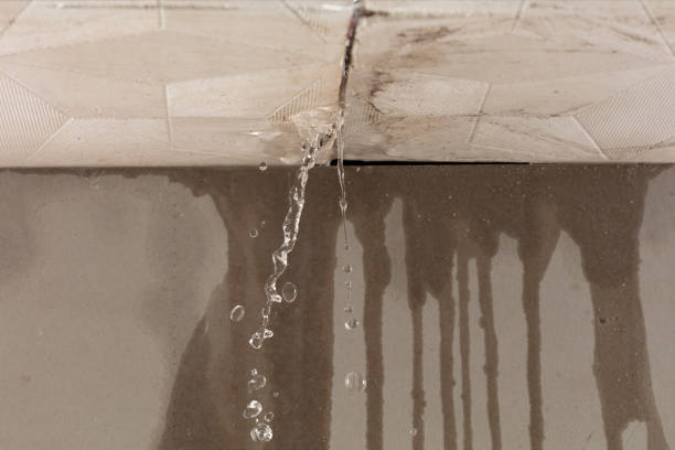 Professional Structural Drying technician working in Burt, MI